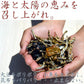 ＜320g だいず＆いりこんぶ＞ 国産 黒大豆 昆布  いわし