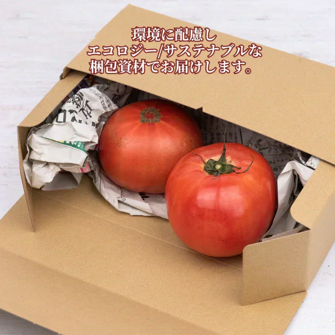 【予約商品・2026年10月初旬ごろ順次発送～2027年2月末までに発送】国産！家計応援価格！規格外品 中～大玉トマト 約500g（最低300g以上）(2玉～6玉) 【カウシェファーム収穫対象商品】