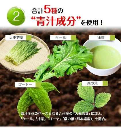 【熊本コレクション】朝摘み もぎたて 青汁 大麦若葉 送料無料 【たっぷり60包 タイプ180g(3g×60包) 】保存食