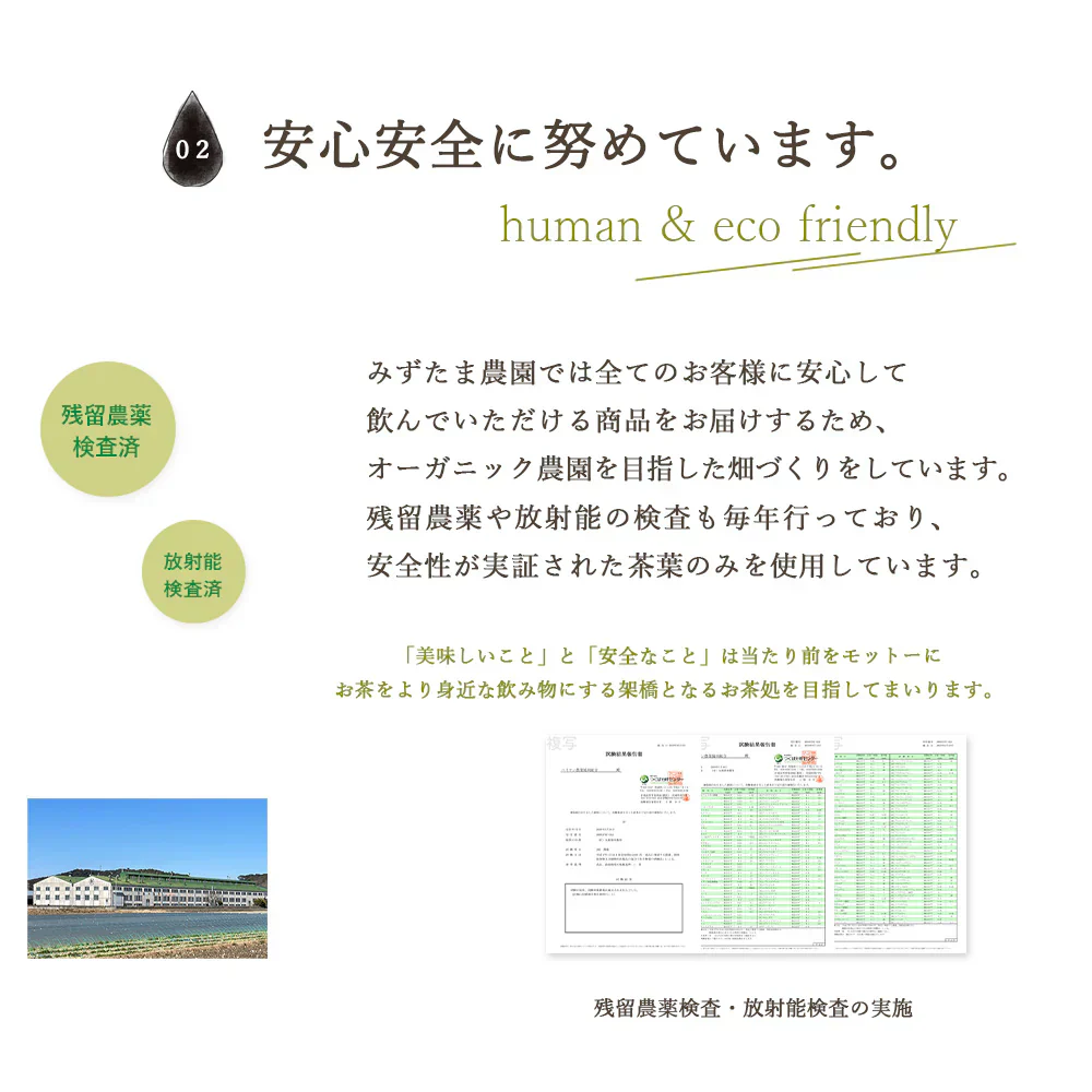 ゴクゴクすっきり 深蒸し ティーバッグ 100個入 みずたま農園製茶場 緑茶 水出し 国産 お茶 ティーパック 日本茶 緑茶 深蒸し茶 煎茶 水出し緑茶 国産 静岡 静岡茶 牧之原 送料無料 大容量 メール便