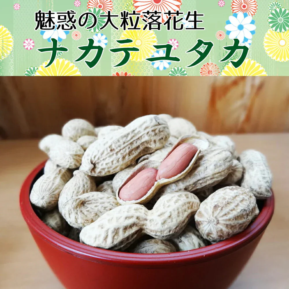 ナカテユタカ500g【送料無料！(北海道、九州、沖縄、その他離島を除く)】千葉県産落花生ナカテユタカ500g（250g×2袋）国産 落花生 ピーナッツ おつまみ お茶請け スーパーフード
