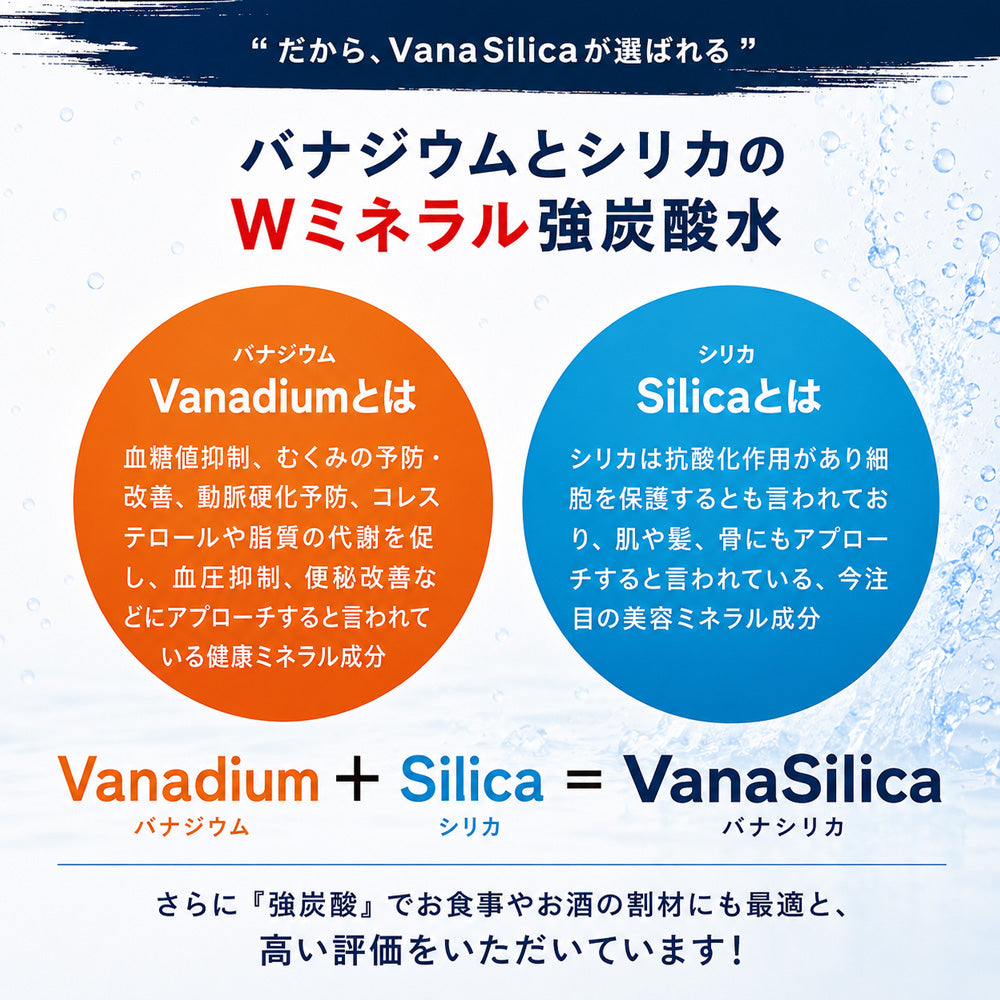 【 1ケース 】 富士山のバナジウム＆シリカ 強炭酸水 VanaSilica（バナシリカ） 500ml 24本 プレーン