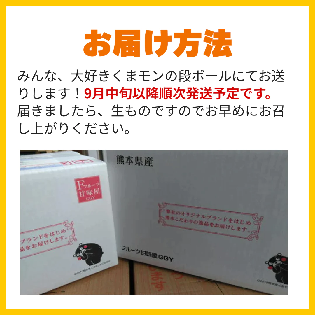 【9月中旬発送予定】熊本産 みかん 訳あり 約10kg（箱込10kg：9kg+保証分500g）ご家庭用 送料無料【ゲリラセール】