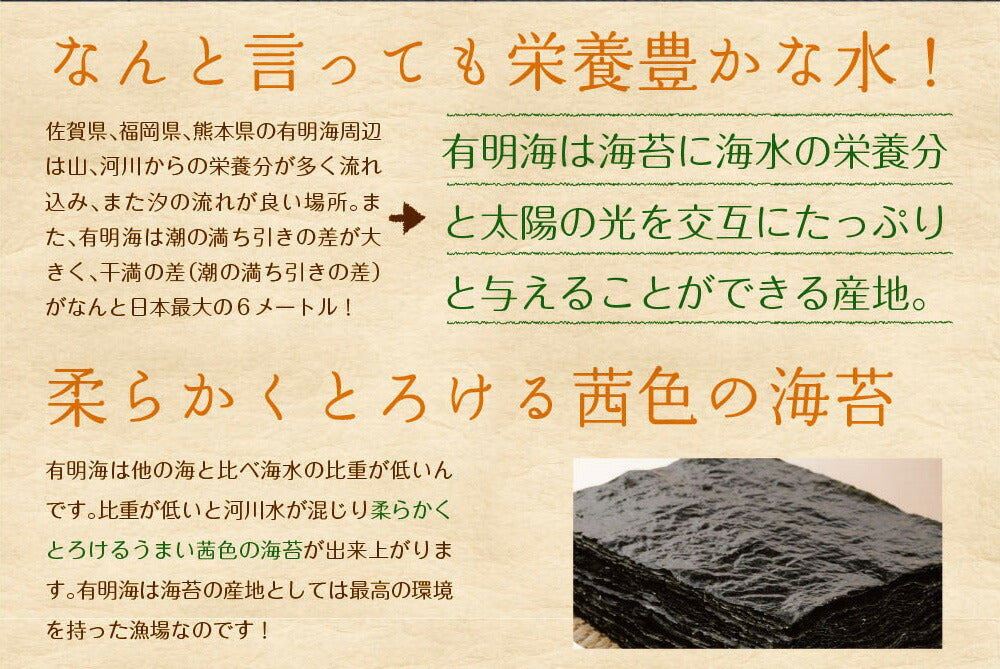 日本橋いなば園 有明海産 きざみ海苔 40g ネコポス メール便送料無料 刻み海苔 ギフト きざみ海苔 きざみのり 寿司 弁当 トッピング 食品 乾物 茶匠庵 葉酸 タウリン