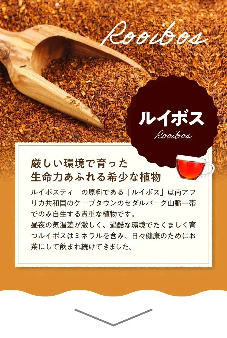 【最短当日出荷】アレンジルイボスティー オレンジ カップ用 ティーバッグ 30個入
