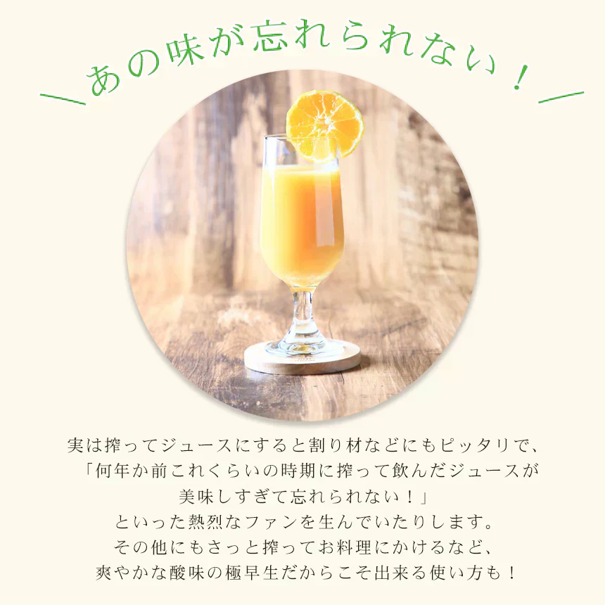 みかん　極早生　2ｋｇ　ｆ極０2　家庭用　中玉　愛媛　吉田みかん　果物　フルーツ　柑橘