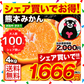 【ブラックフライデー大人数シェア買い】熊本みかん 送料無料 訳あり みかん4kg 規格外 大玉 小玉 不選別 家庭用 柑橘 熊本県産 くまもと風土 《3-7営業日以内に発送予定(土日祝日除く)》