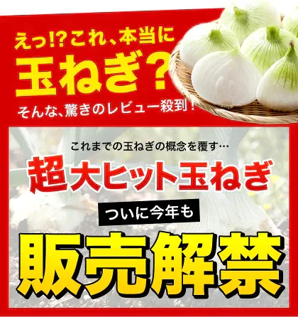 熊本県産 訳あり 塩たまちゃん 玉ねぎ たまねぎ 5kg 【5L-2Sサイズ不選別】 子出藤 (ねでふじ)さん 送料無料 塩タマネギ 新たまねぎ 塩玉ちゃん 塩玉 お取り寄せ お取り寄せグルメ《7-14営業日以内に出荷(土日祝除く)》