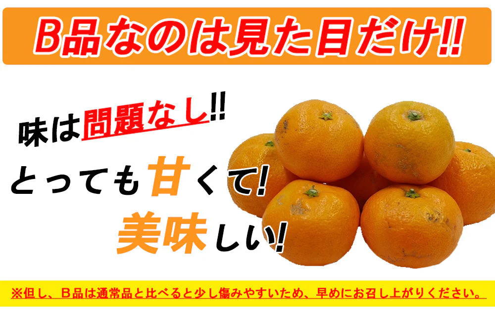 【最安値挑戦祭】みかん 訳あり 送料無料 5kg B品 愛媛 みかん 温州みかん ミカン 蜜柑 安い 甘い 箱買い 産地直送 愛媛県産 YDF-001