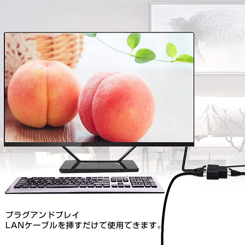 LAN分岐 100Mbps LANポート増設 拡張 アダプター RJ45  ラン中継コネクタ lanハブ2ポート ルーター ネットワークスプリッタアダプタ カテゴリー CAT5 CAT6 CAT7