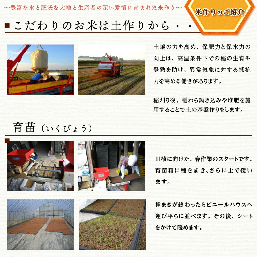米 精米 新潟県 特別栽培米 こしひかり 20kg (5kg×4) 令和5年産 新米 JA北越後指定 お米 白米 おくさま印 国産 食品 ギフト 引っ越し 挨拶 出産 内祝い お中元 お歳暮 結婚 快気 還暦 香典返し お年賀 送料無料