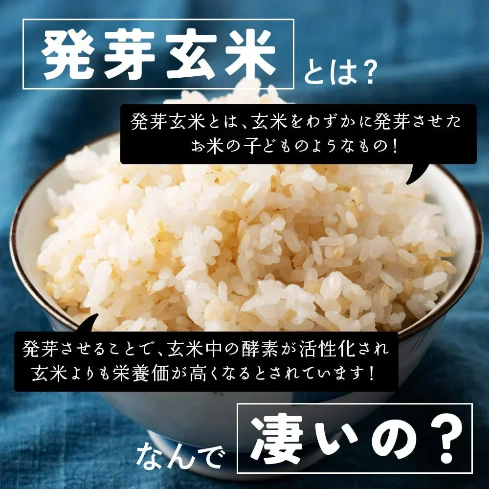圧倒的に旨い！雑穀米本舗 国産 発芽玄米 2.4kg(400g×6袋) ファミリーサイズ 無添加 無着色 送料無料