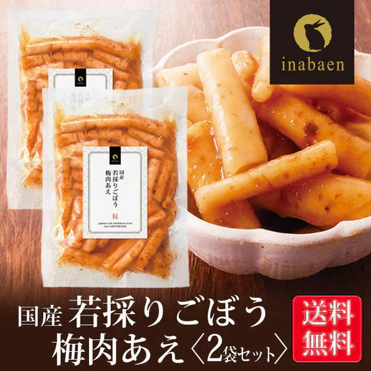 【2個セット】日本橋いなば園 国産 若採りごぼう 梅肉あえ 120g メール便 送料無料