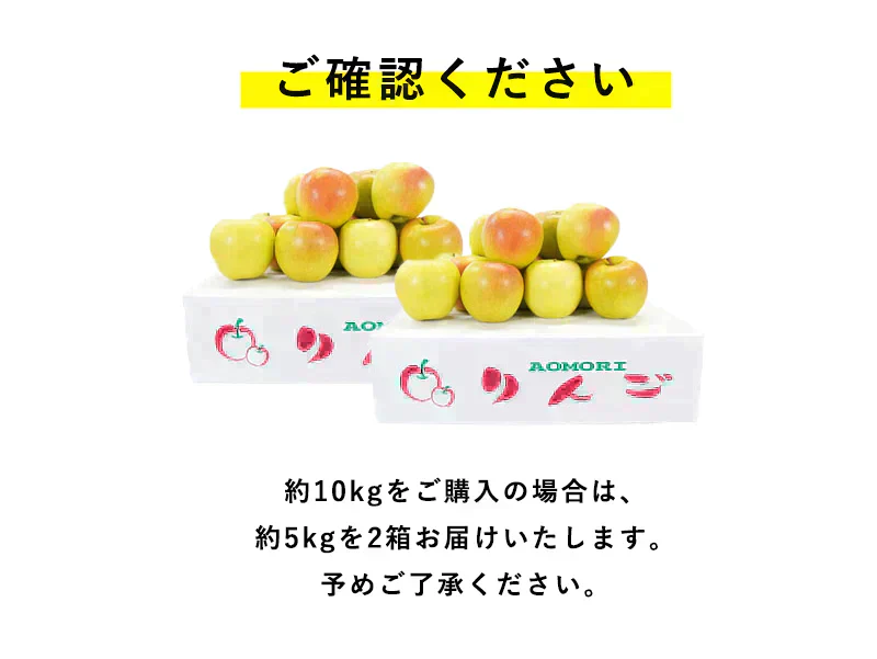 【ただいま発送中！】青森県産 訳あり ぐんま名月 約10kg※11月中旬頃からご予約順に発送予定※家庭用 青森 りんご 林檎 群馬名月 果物 フルーツ 送料無料 ks