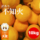 訳あり 不知火 箱込10キロ(9kg+保証分500g) デコポンと同品種 デコみかん 熊本産 送料無料