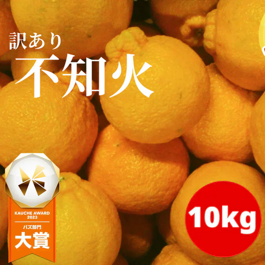 訳あり 不知火 箱込10キロ(9kg+保証分500g) デコポンと同品種 デコみかん 熊本産 送料無料