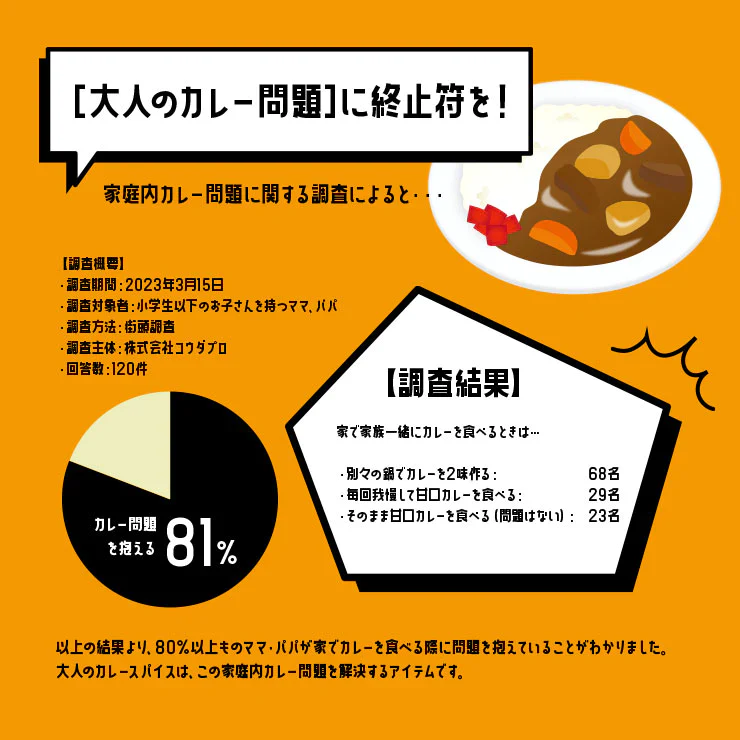 大人のカレースパイス 4gx16袋 送料無料 辛口 時短  本格 スパイス 20種 無添加 味変 ちょい足しミックススパイス