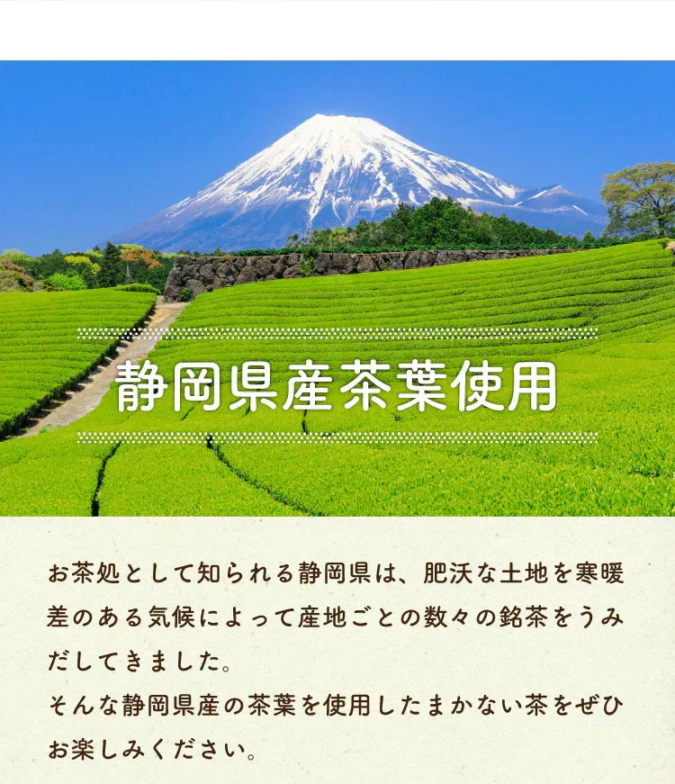 【最短当日出荷】静岡県産緑茶 ティーライフのまかない茶 100個入