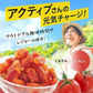 600g(300g×2) 紅塩ドライトマト