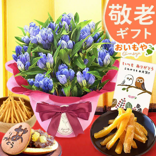 敬老の日 りんどう(いわて乙女)＆和菓子セット 【おいもや】（9月12日〜15日配送） KR