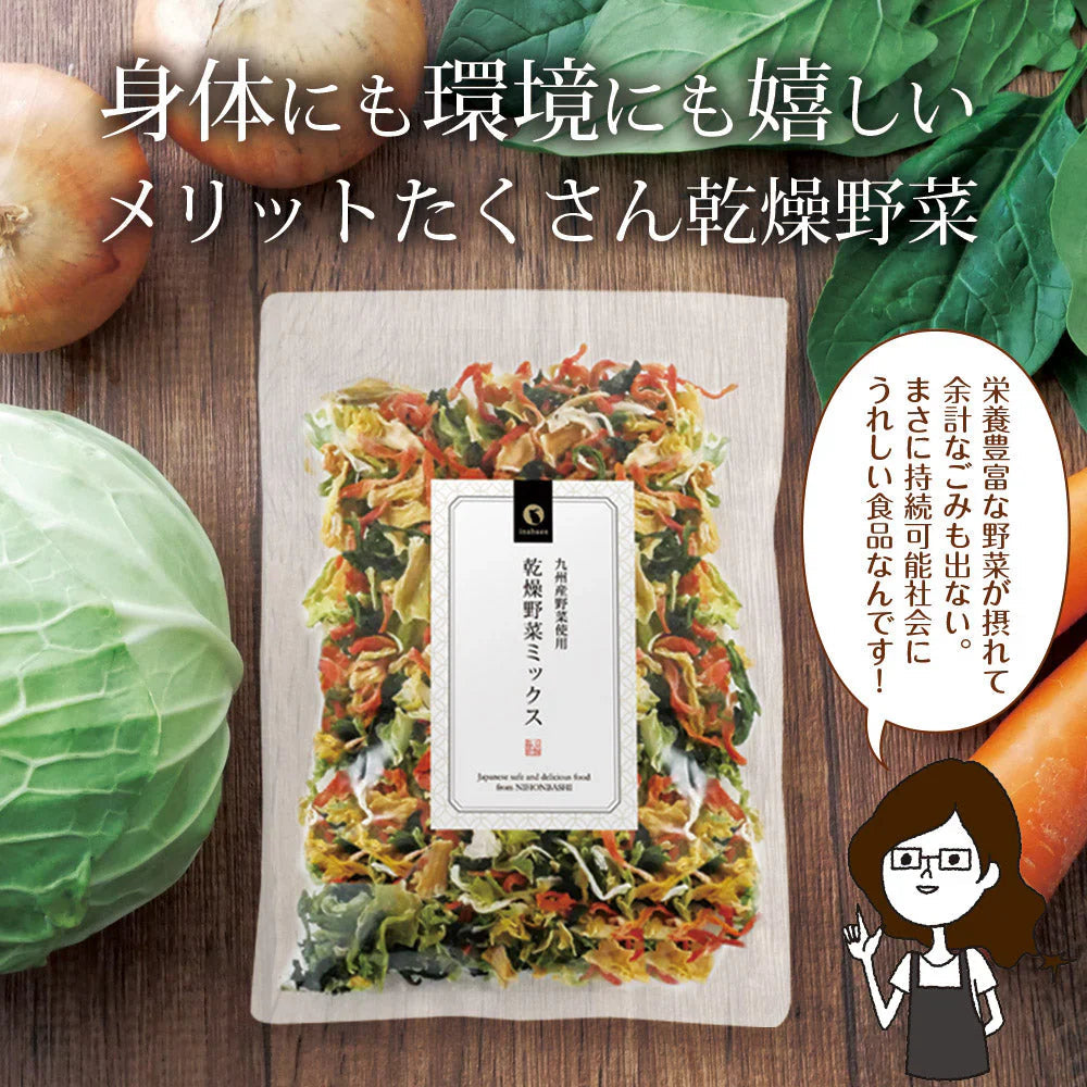 日本橋いなば園 九州産野菜使用 乾燥野菜ミックス 100g ネコポス メール便送料無料