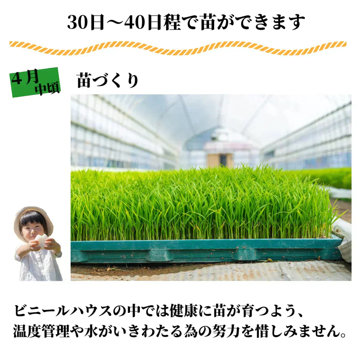 数量限定【最安値挑戦】北海道産 ななつぼし 5kg 米 白米 精米 お米 5キロ 国産 美味しい米 北海道のお米 こだわり製法 定温保管 低温精米 国産米 おいしいお米 お取り寄せグルメ 美味しい おいしい  北海屋  紋別 お米ギフト
