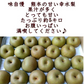 幸水梨　秀品　約5キロ（約8玉〜20玉）熊本産　なし　梨　ナシ　【クール便】【7月下旬～8月下旬発送】