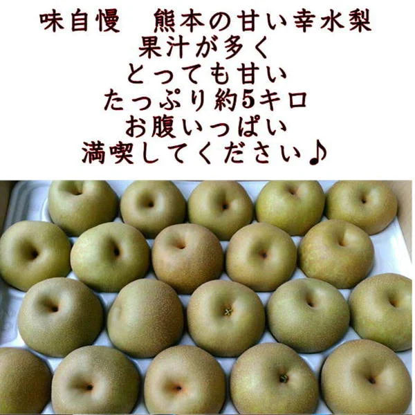 幸水梨　秀品　約5キロ（約8玉〜20玉）熊本産　なし　梨　ナシ　【クール便】【7月下旬～8月下旬発送】
