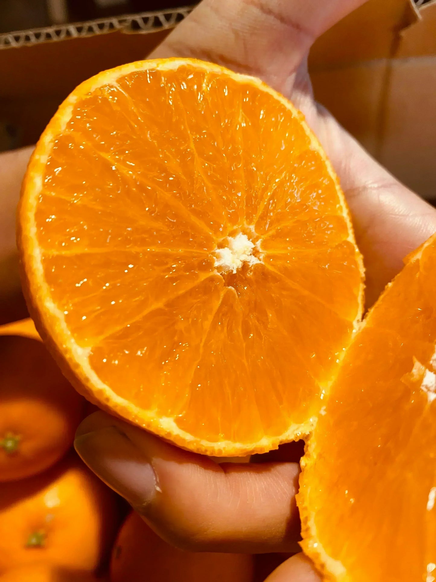 【予約販売１２月発送スタート】愛媛の高級柑橘　本場！愛媛のまどんな　ご自宅用　2ｋｇ(箱代込み）