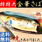 特特大 国産 金華さば 250g 塩糀焼き さぬきの塩こうじ焼き レトルト メール便