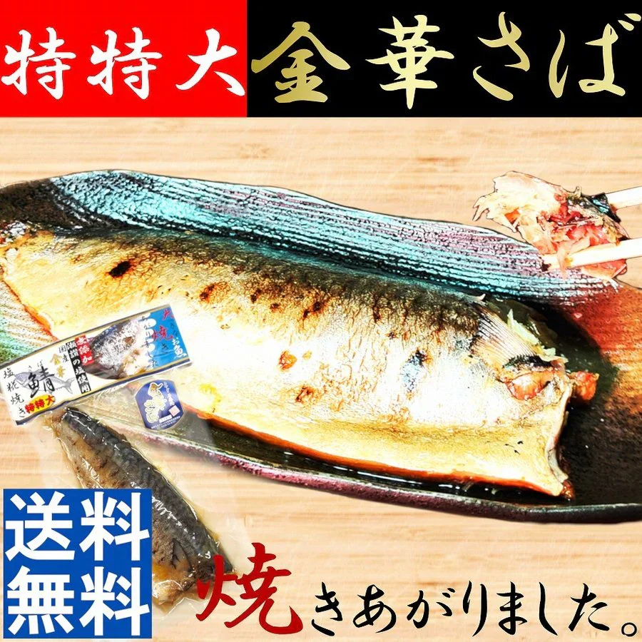 特特大 国産 金華さば 250g 塩糀焼き さぬきの塩こうじ焼き レトルト メール便
