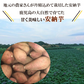 安納芋 さつまいも 5kg 送料無料 産地直送 産直 土付き さつま芋 薩摩芋 焼きいも 焼き芋 石焼き芋 芋 いも イモ 鹿児島県産 ngs-006
