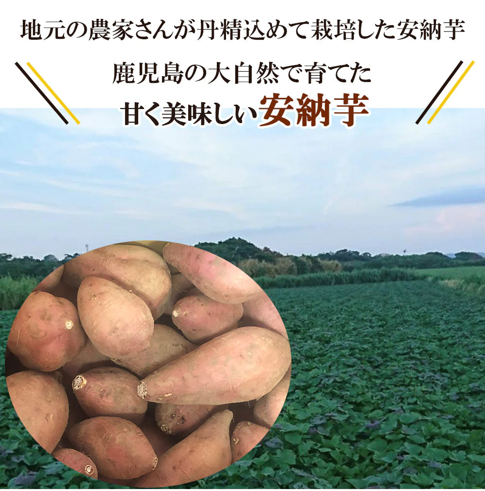 安納芋 さつまいも 5kg 送料無料 産地直送 産直 土付き さつま芋 薩摩芋 焼きいも 焼き芋 石焼き芋 芋 いも イモ 鹿児島県産 ngs-006