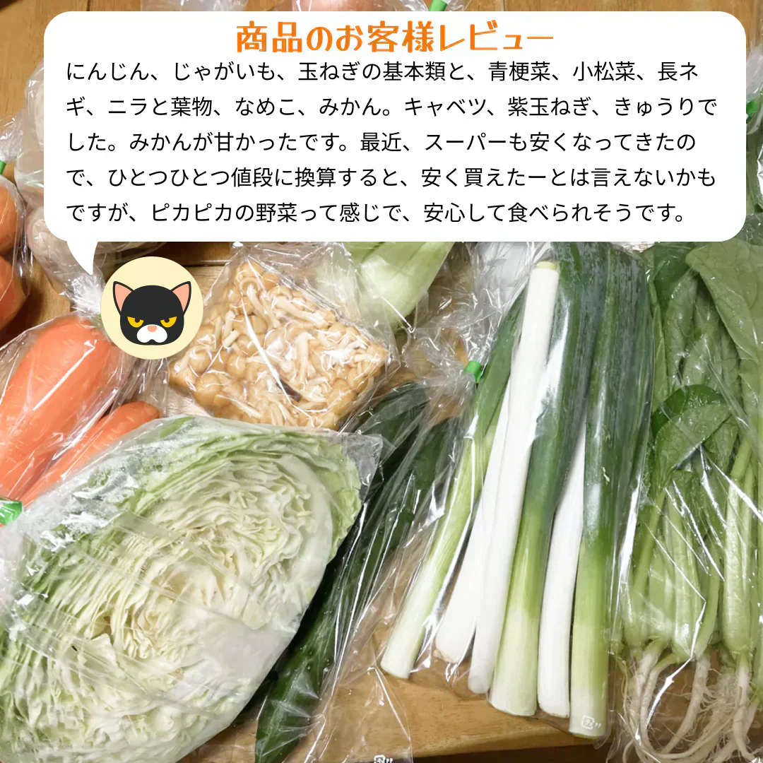 【2022年度 国内No.1獲得！】 クール便 市場直送！ 野菜セット 詰め合わせ 80サイズ箱 【 福袋 】玉ねぎ にんじん じゃがいも みかん 桃 シャインマスカット 食品 料理 フルーツ 果物 ギフト 贈答 お中元 お祝い 正月 謹賀新年