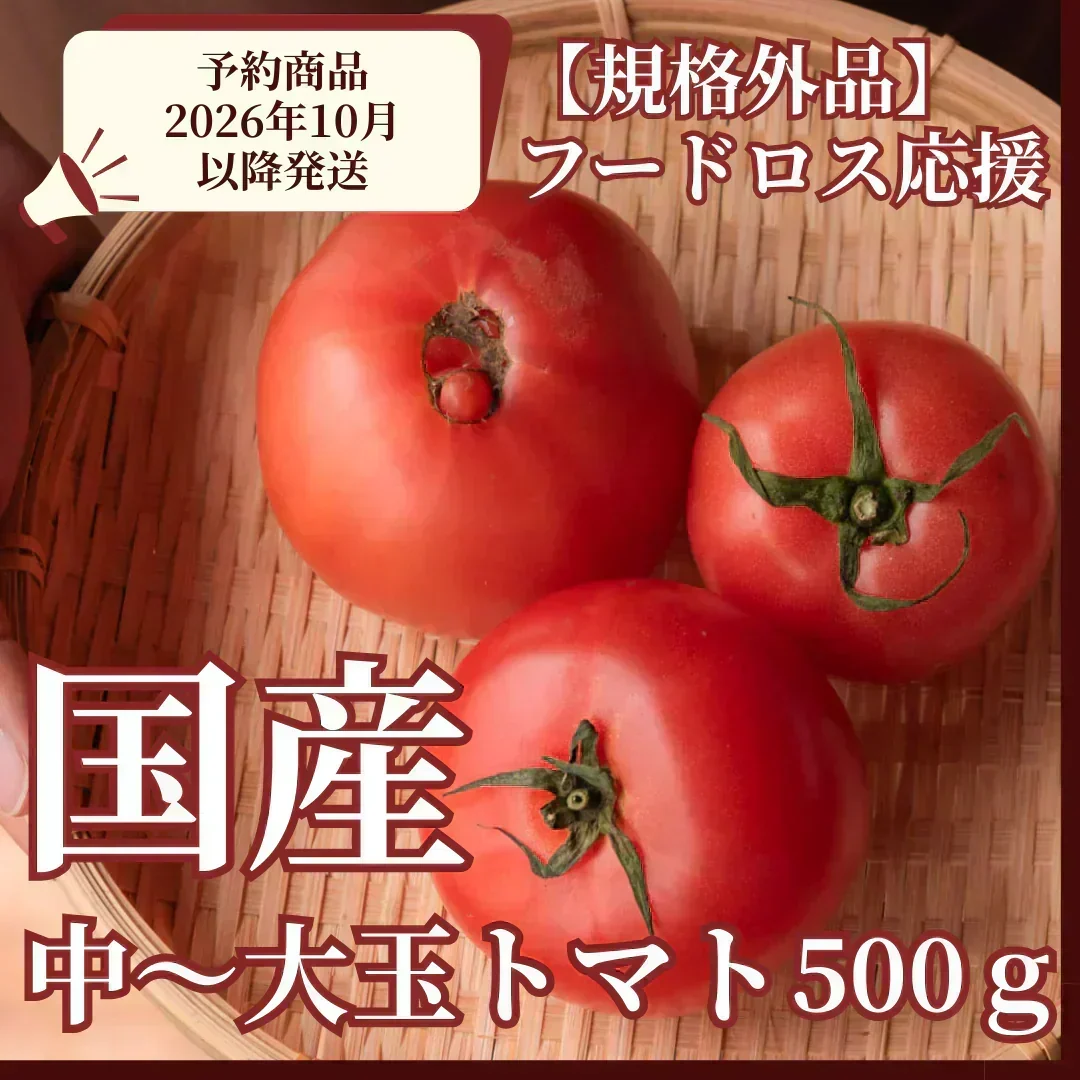 【予約商品・2026年10月初旬ごろ順次発送～2027年2月末までに発送】国産！家計応援価格！規格外品 中～大玉トマト 約500g（最低300g以上）(2玉～6玉) 【カウシェファーム収穫対象商品】