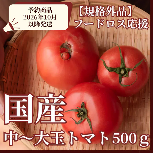 【予約商品・2026年10月初旬ごろ順次発送～2027年2月末までに発送】国産！家計応援価格！規格外品 中～大玉トマト 約500g（最低300g以上）(2玉～6玉) 【カウシェファーム収穫対象商品】