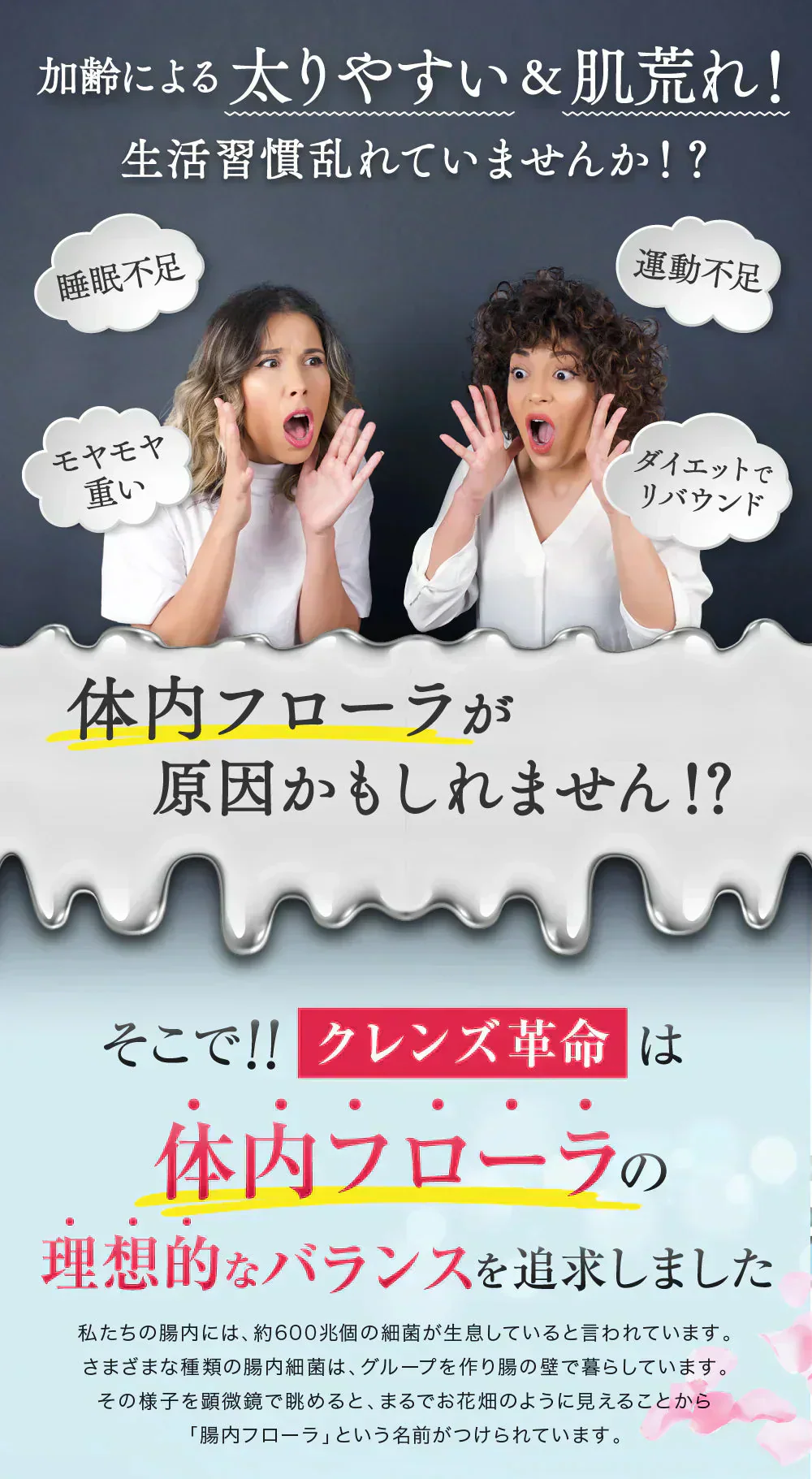 【お得2個セット・クレンズ革命】6ヶ月分 5兆個 善玉菌のチカラ  内側から スッキリ 腸活 ダイエットサプリ 腸内フローラ 納豆菌 乳酸菌 菌活 悪玉菌 ガセリ ビフィズス菌 カルニチン プロバイオティクス デトックス クレンズサプリメント ガセリ菌 悪玉菌 国産 お腹スッキリ 乳酸菌サプリ 酪酸菌　納豆菌 ナットウキナーゼ ビフィズス菌 おすすめ 人気 ランキング 効果 強力 最強 通販 日本製 国産