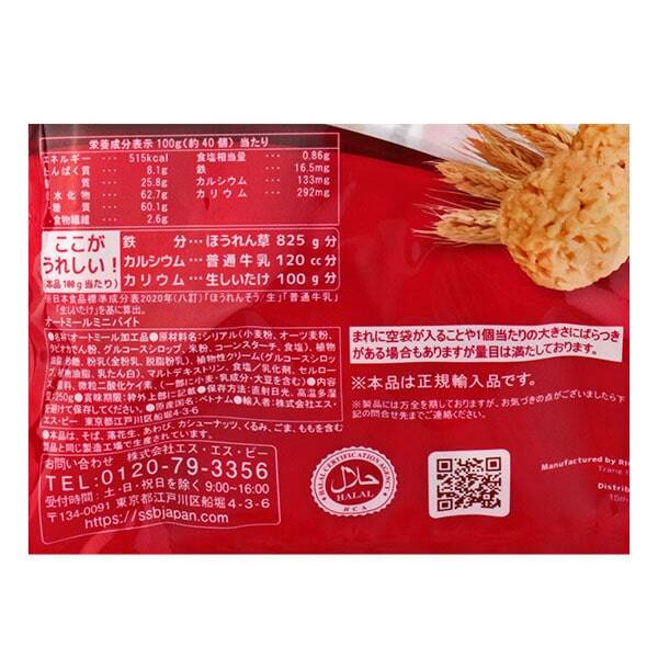 Richy オートミールミニバイト 250g×3袋セット oatmeal mini bite 個包装 大容量パック リッチー