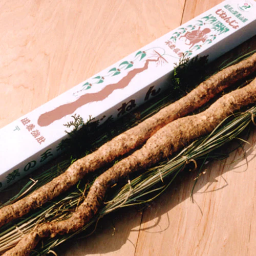 有機自然薯　4.8kg【1.2kg×4箱】有機JAS認証/無農薬　熊本県産　産地直送