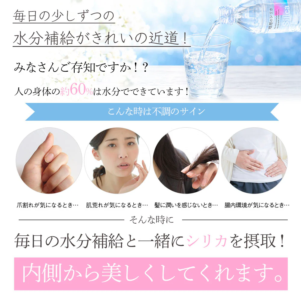 シリカ水 500ml 24本 高濃度シリカ水 シリカウォーター 理想のシリカ ミネラルウォーター ケイ素水 天然水 天然シリカ 水 軟水 国産 鳥取県産