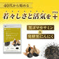 黒ゴマセサミン＆発酵黒ニンニク《約3ヶ月分》サプリ サプリメント 健康  セサミン アルファリポ酸 アリルシステイン アリイン 黒ゴマ 黒にんにく にんにく ニンニク