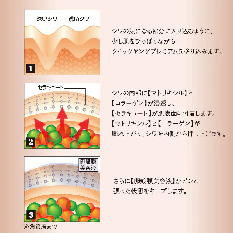 【クイックヤング プレミアム】口元の老けジワをピーン！卵殼膜美容液 化粧品 美容液 口元 小じわ 老けジワ 縦ジワ 昼夜兼用 メイク前 就寝前 卵殻膜エキス 保湿 乾燥対策 メイク下地 美容クリーム アミノ酸 コラーゲン ヒアルロン酸 ハリ ツヤ 気になる老けジワ シワ改善 しわ改善 クリーム 首 シワ改善クリーム しわ改善 しわ取り シワとり しわとり しわ取り