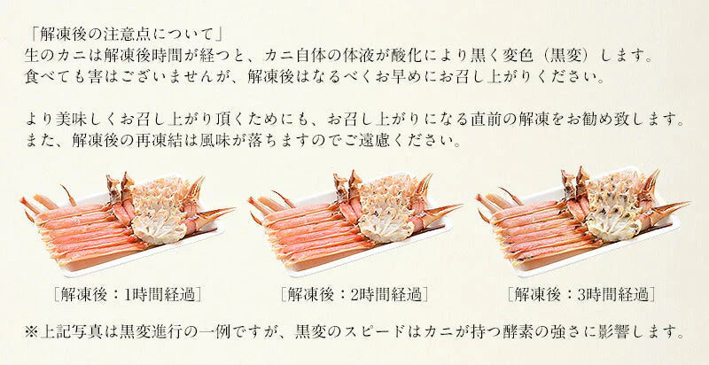 ズワイガニ お刺身 OK 生 カット済み 1.2kg（総重量1.5kg） かに カニ 蟹 海鮮 ズワイ蟹 魚介 ポーション むき身 カニ身 鍋 かにしゃぶ かにポーション カニ鍋 お取り寄せグルメ 蟹ポーション グルメ 母の日 プレゼント ギフト