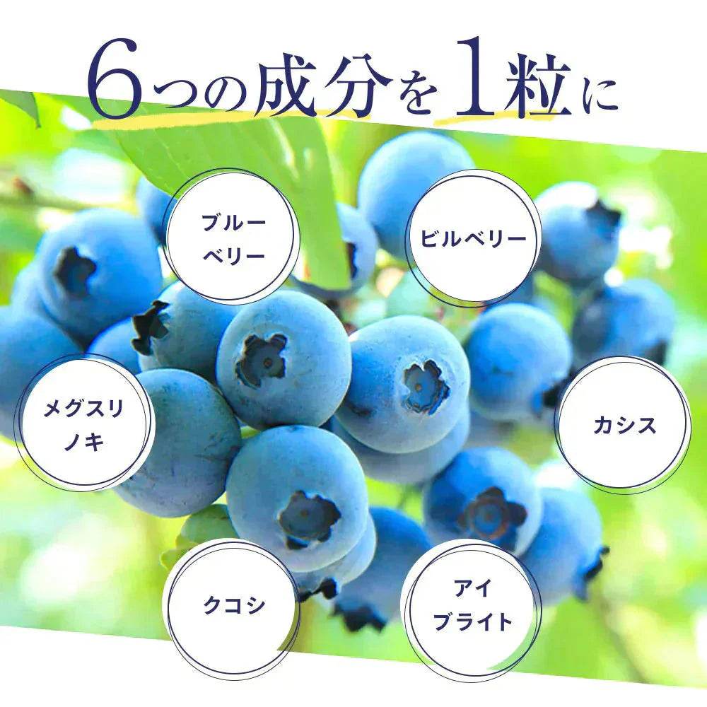 ブルーベリー 《約6ヶ月分》 送料無料 サプリ サプリメント 健康 ブルーベリー ビルベリー メグスリノキ カシス クコシ アイブライト ビタミン アイケア【大容量】