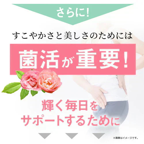 ガセリ菌エクオール まとめ買い 2個セットガセリ菌 善玉菌 乳酸菌 腸活 菌活 エクオール サプリメント 大豆イソフラボン サプリメント 大容量 お徳用 健康 美容 RoyalBS 日本製