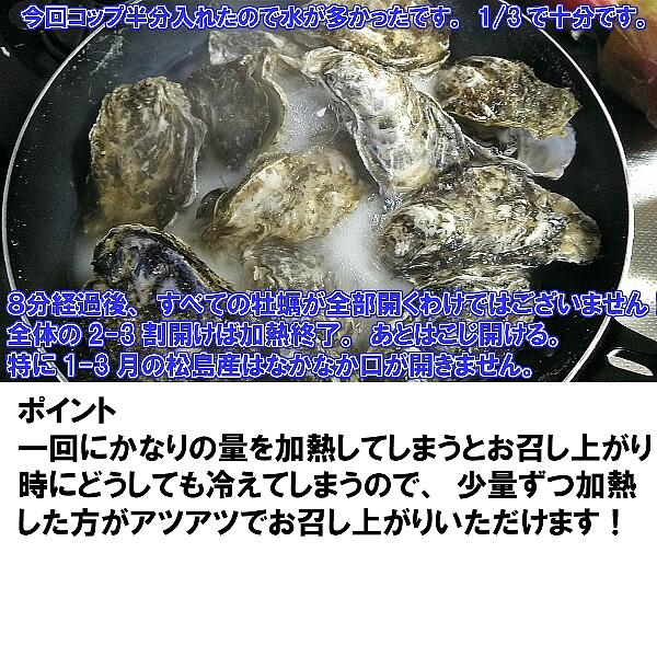 急速凍結 生食用冷凍牡蠣 殻付き 牡蠣 送料無料 ２ｋｇ（目安20個程度） 冷凍便 牡蠣 殻付き 殻付 カキ 牡蛎 かき 松島牡蠣屋 BBQ バーべキュー 二枚貝 貝類  kaki かきカキ