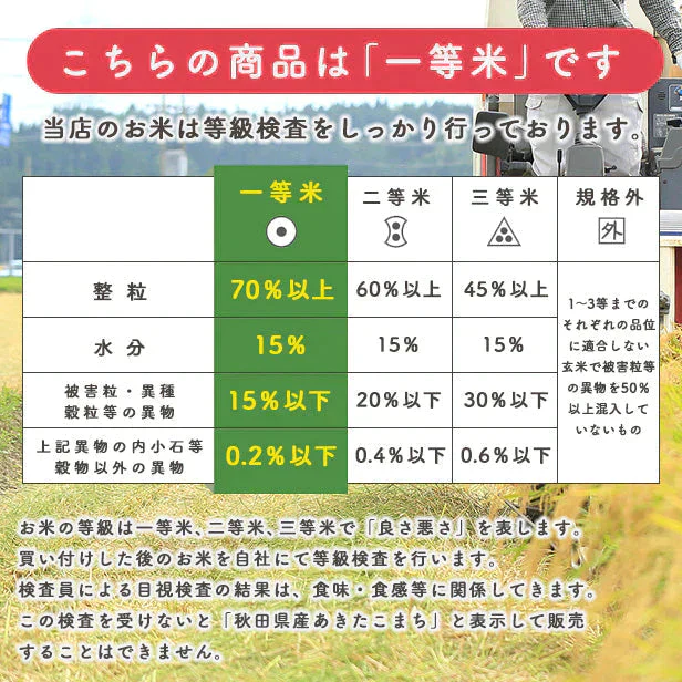 在庫処分セール！【精米10ｋｇ】令和4年産　秋田県産　あきたこまち10ｋｇ 5ｋｇ×2袋　一等米　厳選　送料無料　10ｋｇ　米びつ当番【天鷹唐辛子】プレゼント付き