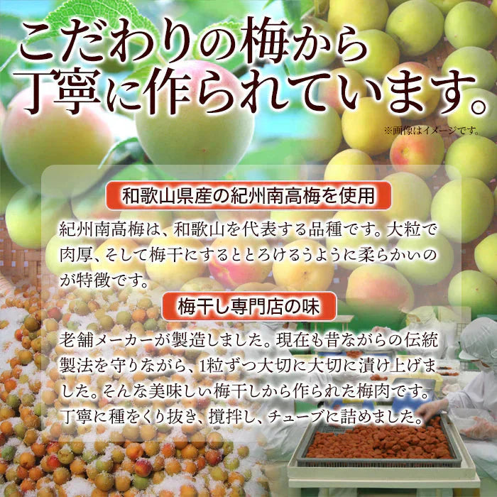 賞味期限2025年2月28日 はちみつ入り＆かつお☆紀州産南高梅のおいしい梅肉2本セット メール便