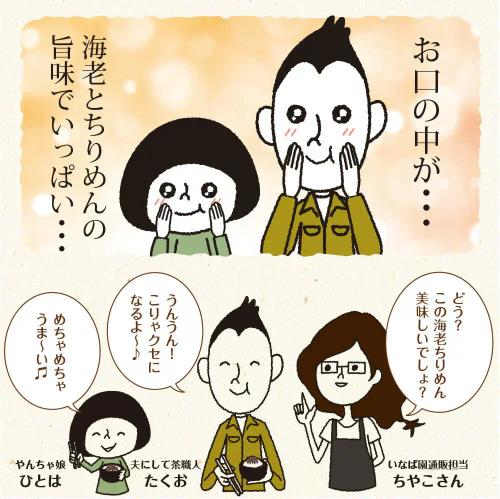 日本橋いなば園 国産海老ちりめん 30g ネコポス メール便送料無料
