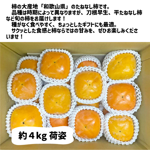 柿 和歌山県産 たねなし 約４kg (１５〜２０玉) ご家庭用 刀根 平たねなし 種無し 平核無柿 刀根 早生柿 送料無料 柿 カキ
